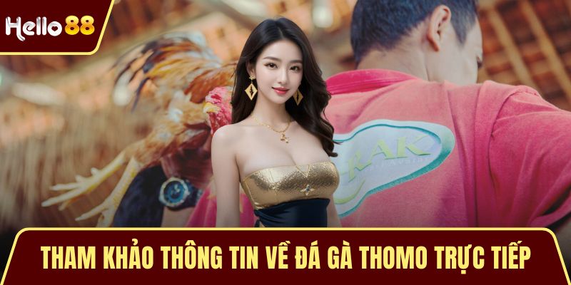 Tham khảo thông tin về đá gà Thomo trực tiếp